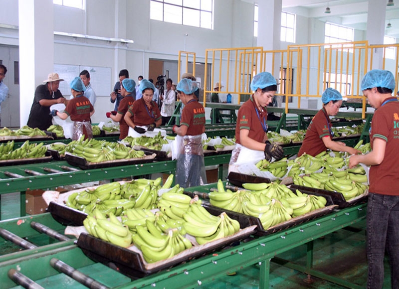 $3.2 billion is made from exporting agricultural products