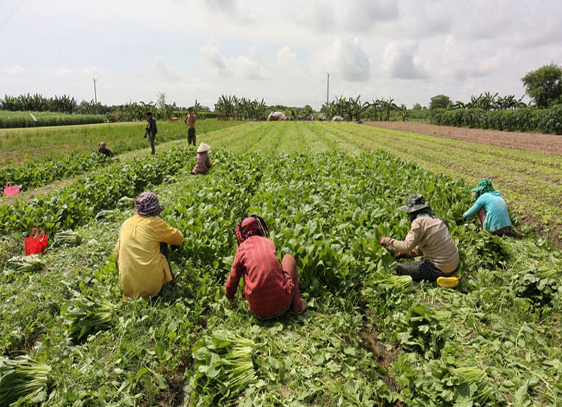 $100M in loans and new agriculture policies announced