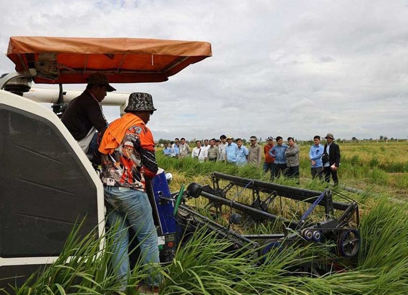 Cambodia's foodgrain production reaches 39.4 million tonnes