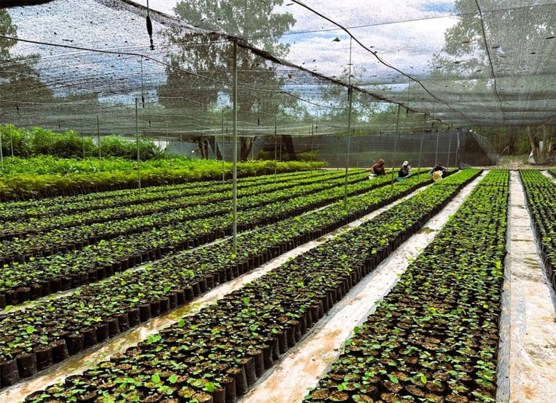 $35M in support allocated to strengthen modern agricultural sectors