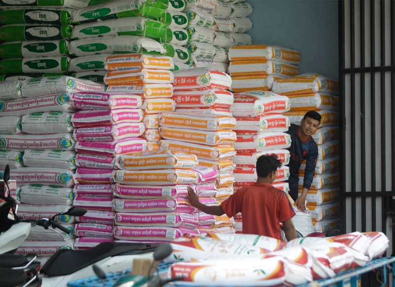 Cambodia achieves record rice production in 2024 with strong government support