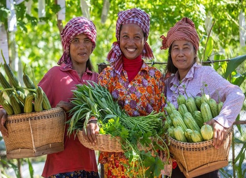 ARDB disburses $440 million to support agriculture sector
