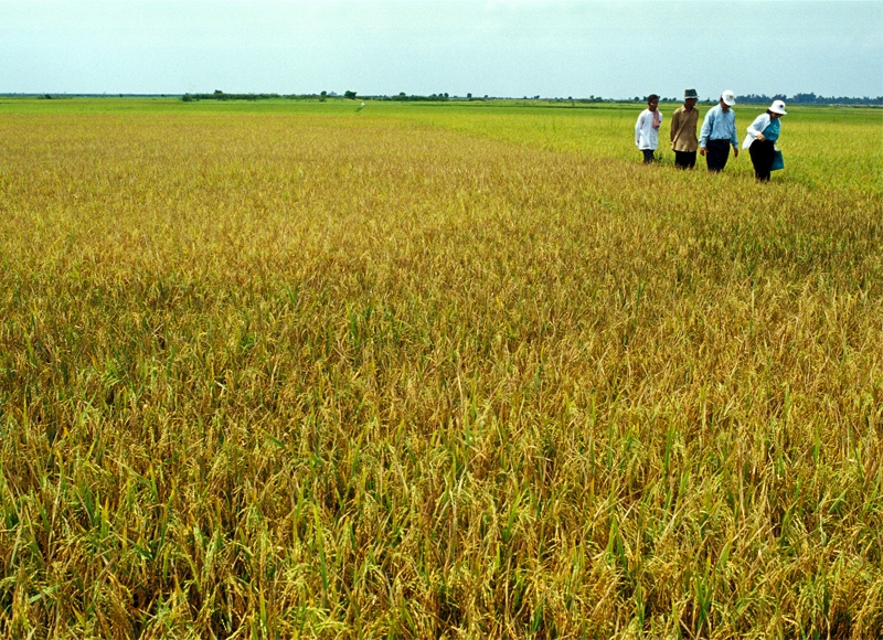 Cambodia aims to attract U.S. investment in agriculture
