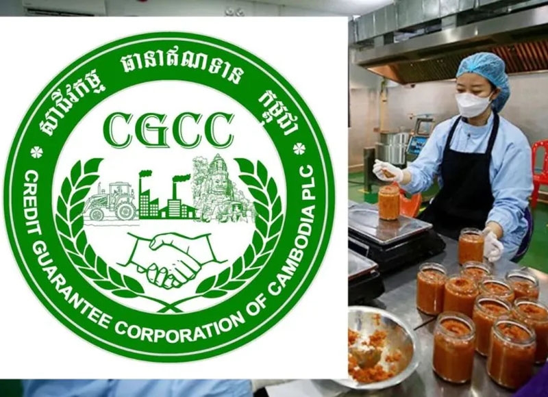 More than 9,500 SMEs benefit from CGCC-supported loans exceeding $500M