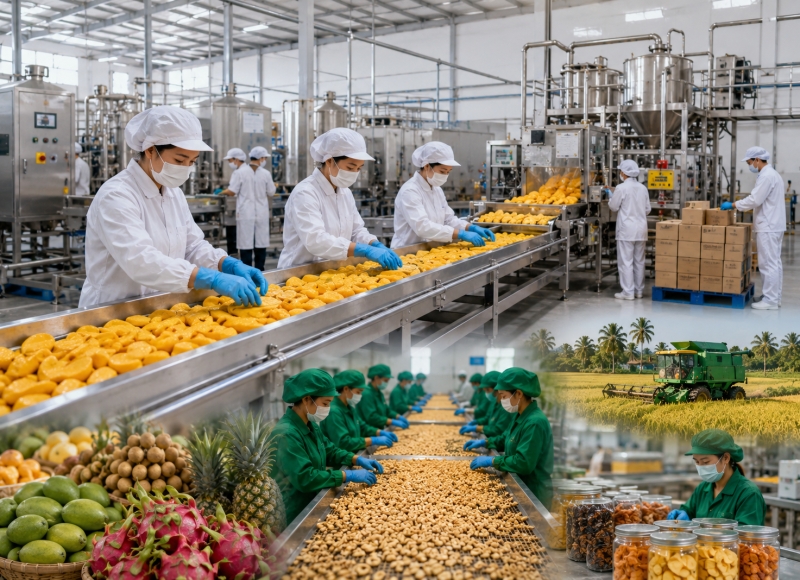 Prime Minister calls for a new growth model driven by agro-processing development